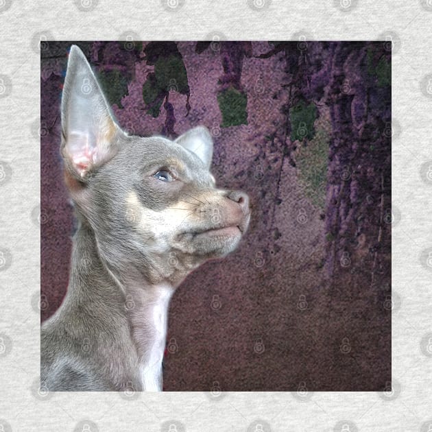 Cute Cheeky Chihuahua Face Purple flower art by BarbaraGlebska